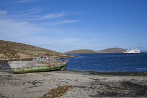 New Island, West Falklands 1268.jpg